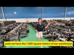 carga y introducción